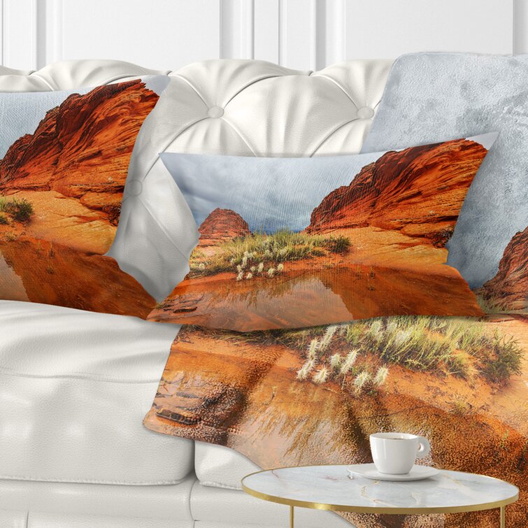 Polyester on sale throw pillows